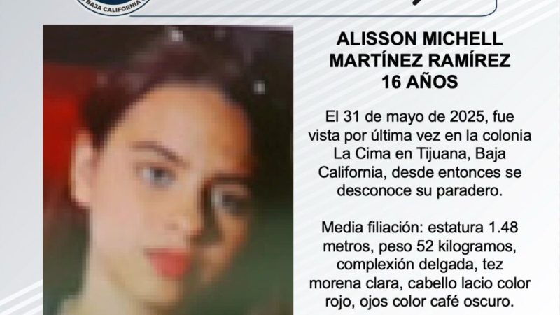 Pesquisa de Alisson Michell Martínez Ramírez de 16 años de edad