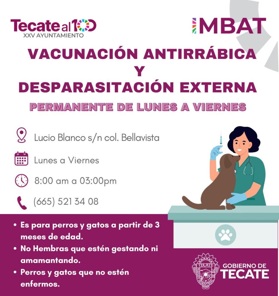 Gobierno de Tecate refuerza la salud animal con campaña permanente de vacunación antirrábica y desparasitación externa