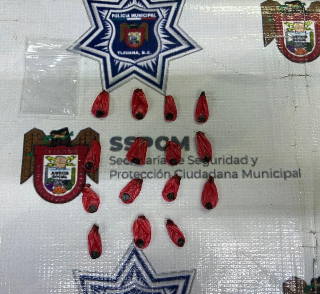 Asegura Policía Municipal de Tijuana a presunto responsable de robo de celular y otros delitos