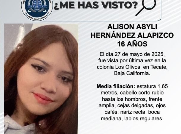 Pesquisa de Alison Asyli Hernández Alapizco de 16 años de edad