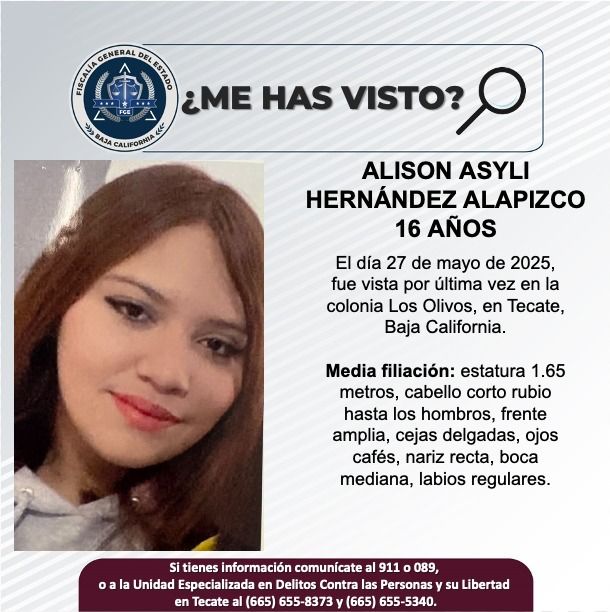 Pesquisa de Alison Asyli Hernández Alapizco de 16 años de edad