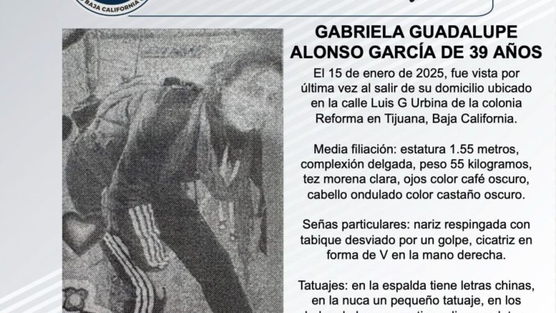 Pesquisa de Gabriela Guadalupe Alonso García de 39 años de edad