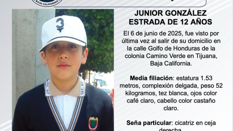 Pesquisa de Junior González Estrada de 12 años de edad