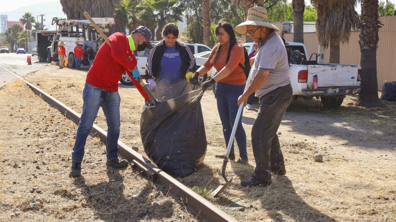 ”Gobierno en tu Colonia” atiende bulevar Defensores con acciones de limpieza y mejoramiento urbano