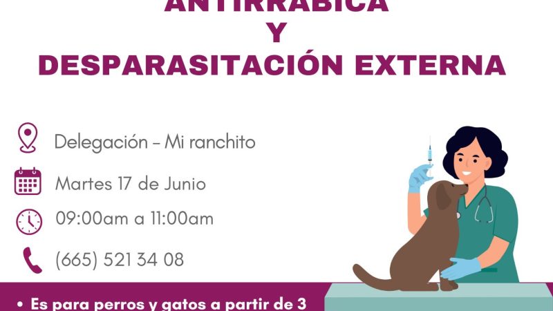 Gobierno de Tecate invita a cuidar la salud de las mascotas con Campaña Gratuita de Vacunación Antirrábica y Desparasitación