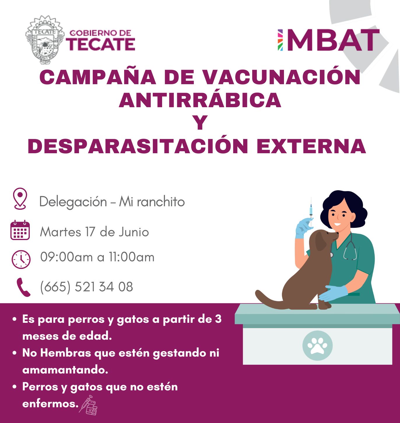 Gobierno de Tecate invita a cuidar la salud de las mascotas con Campaña Gratuita de Vacunación Antirrábica y Desparasitación