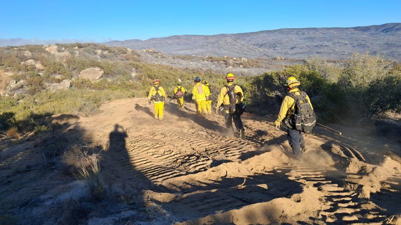 Avanza labores contra incendios forestales en Tecate