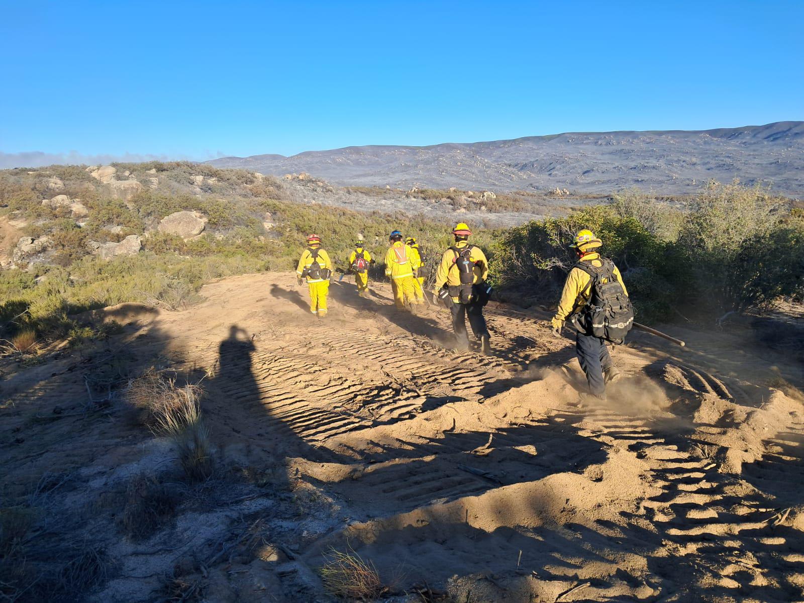 Avanza labores contra incendios forestales en Tecate