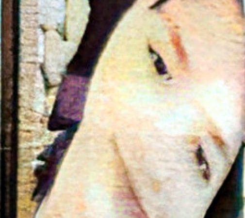 Pesquisa de Brenda Rosaly Álvarez Andrade de 16 años de edad