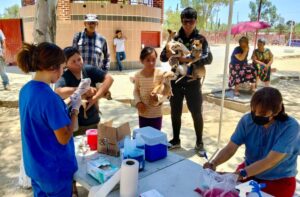 Gobierno de Tecate refuerza el cuidado animal en zona rural con vacunación antirrábica