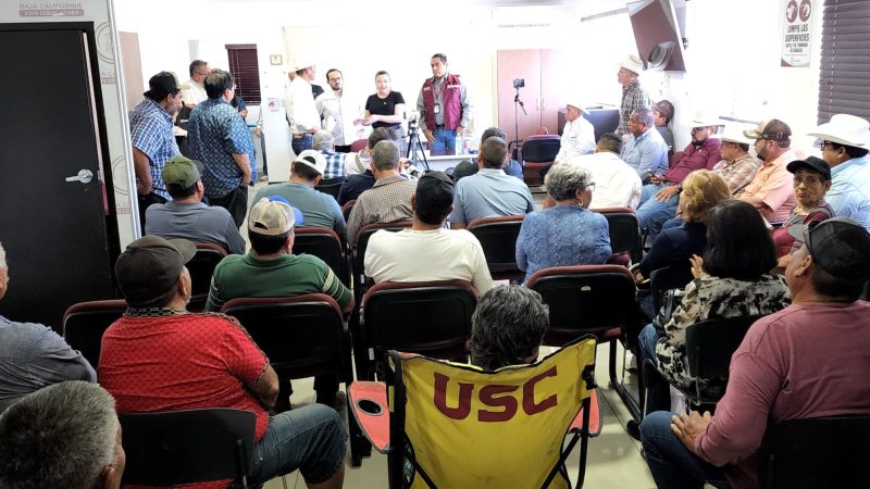 Diputada Tejeda y diputado Molina acuerdan ruta de seguimiento a demandas del sector triguero