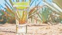 Acciones de José Cuervo suben 6.56%, apoyado por un avance en su utilidad