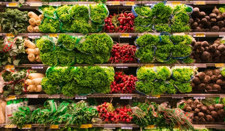 Crece 46% el interés por comida saludable en jóvenes: sostenibilidad domina 2025