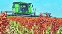 Entidades con más superficie de cultivo afectada por siniestros en México