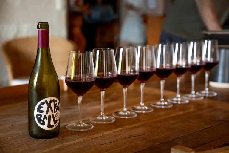 En el mundo de la Cabernet Franc: Vinos biodinámicos desde el Valle del Loire