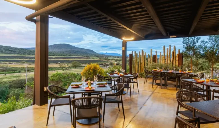 ¿Dónde comer? Vertical: Querétaro en cada plato y también en cada trago