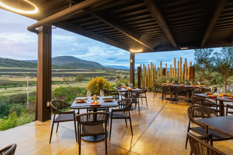 ¿Dónde comer? Vertical: Querétaro en cada plato y también en cada trago