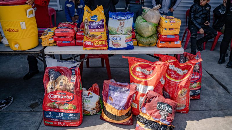 Bikers realizan Croqueton para apoyar a perros maltratados y en situación de calle