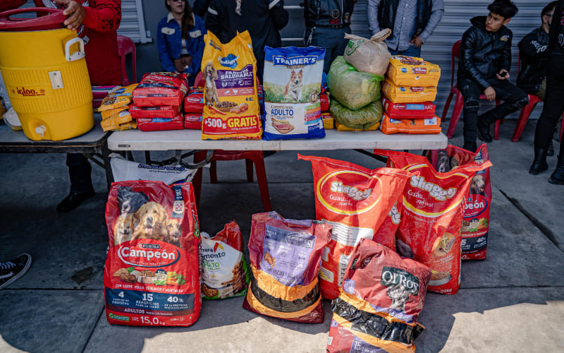 Bikers realizan Croqueton para apoyar a perros maltratados y en situación de calle