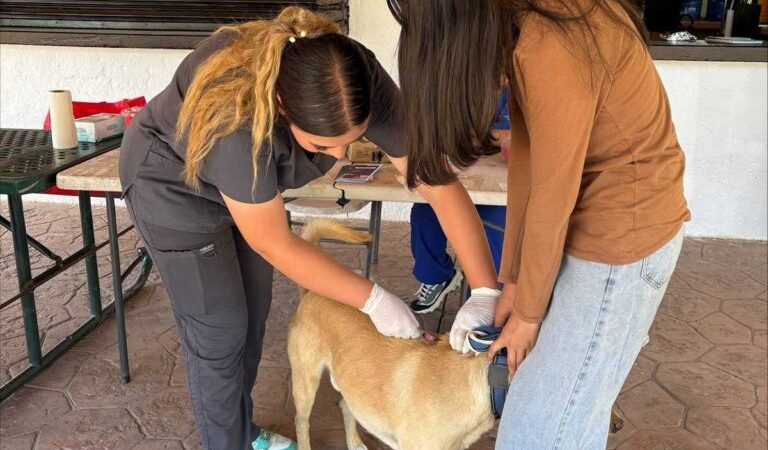 Exitosa Jornada de vacunación para mascotas en el parque Los Encinos