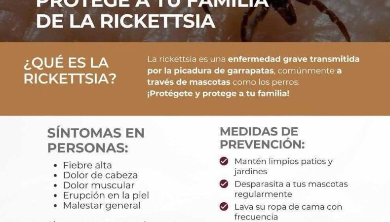 Invita Gobierno de Tecate a protegerse contra la Rickettsia