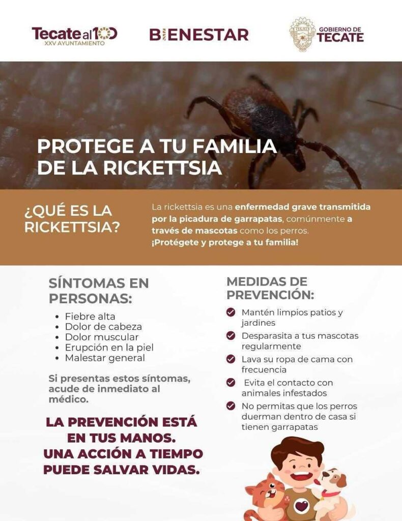 Invita Gobierno de Tecate a protegerse contra la Rickettsia