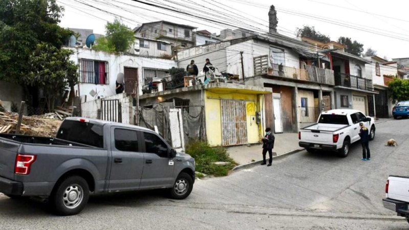 Fiscalía General del Estado rescata dos caninos en condiciones de crueldad tras cateo en colonia Las Cumbres