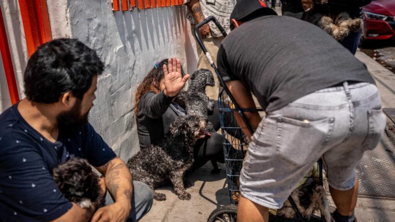 Incendio en cuarteria de la Zona Centro; 15 personas evacuadas y un perro con quemaduras
