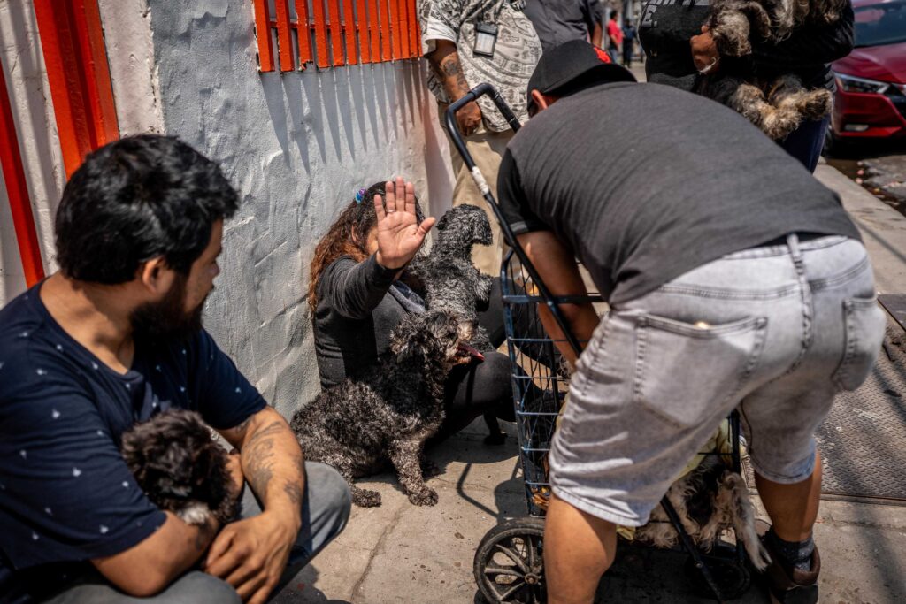 Incendio en cuarteria de la Zona Centro; 15 personas evacuadas y un perro con quemaduras