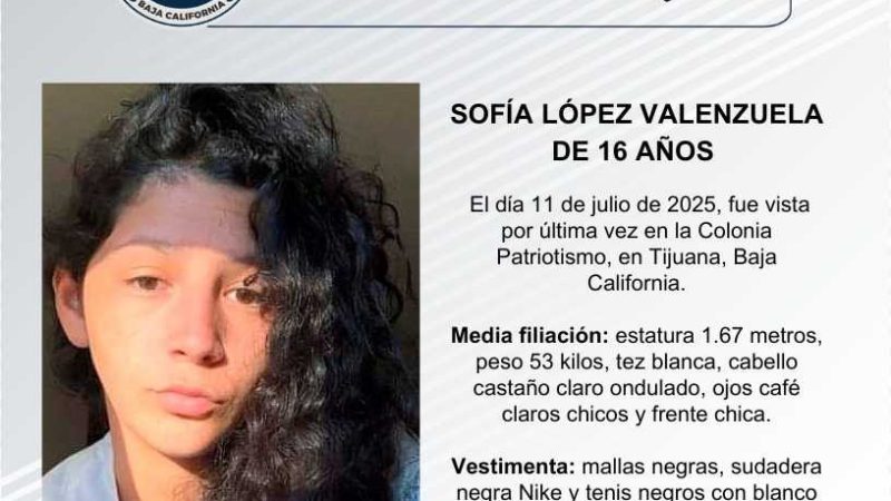 Pesquisa de Sofía López Valenzuela de 16 años de edad