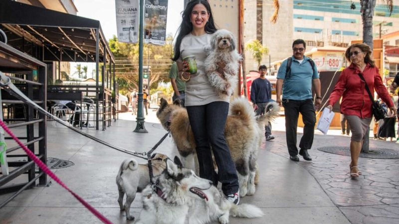 Celebran Coffe Party con más de 60 cafeterías en la Avenida Revolución