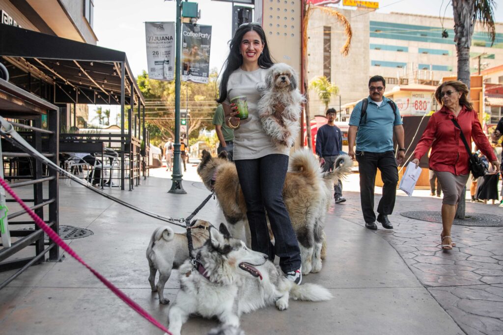 Celebran Coffe Party con más de 60 cafeterías en la Avenida Revolución