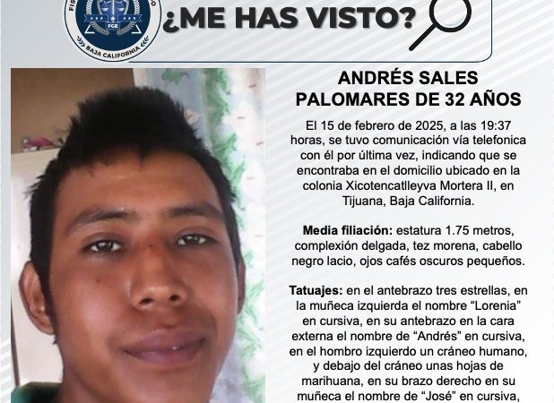 Pesquisa de Andrés Sales Palomares de 32 años de edad