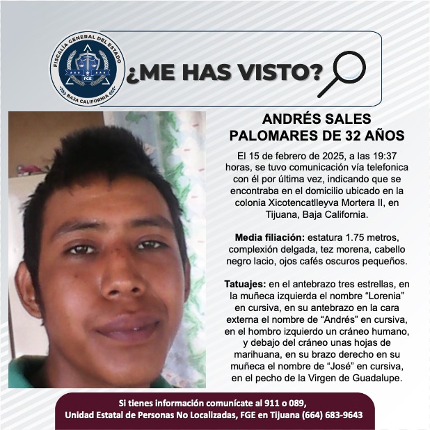 Pesquisa de Andrés Sales Palomares de 32 años de edad