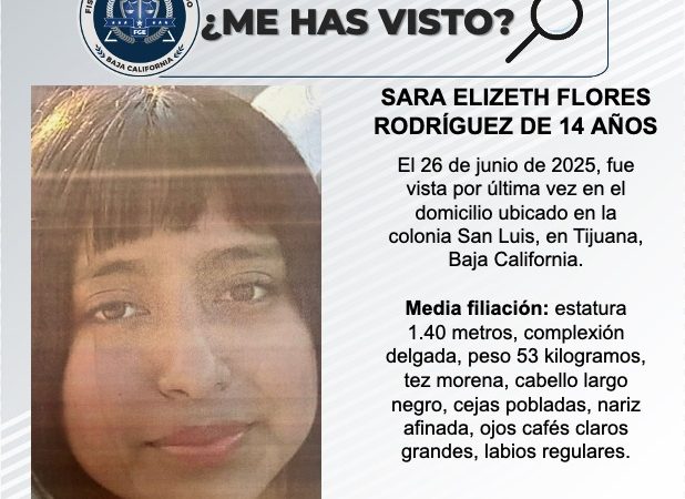 Pesquisa de Sara Elizeth Flores Rodríguez de 14 años de edad