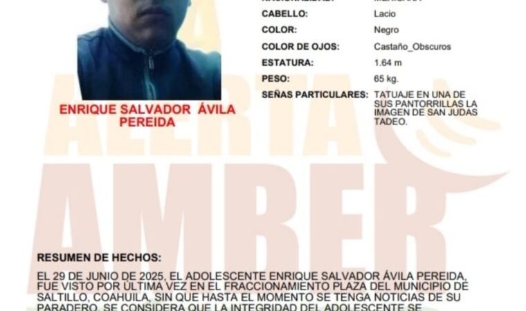 Alerta Amber para localizar a Enrique Salvador Avila Pereida de 16 años