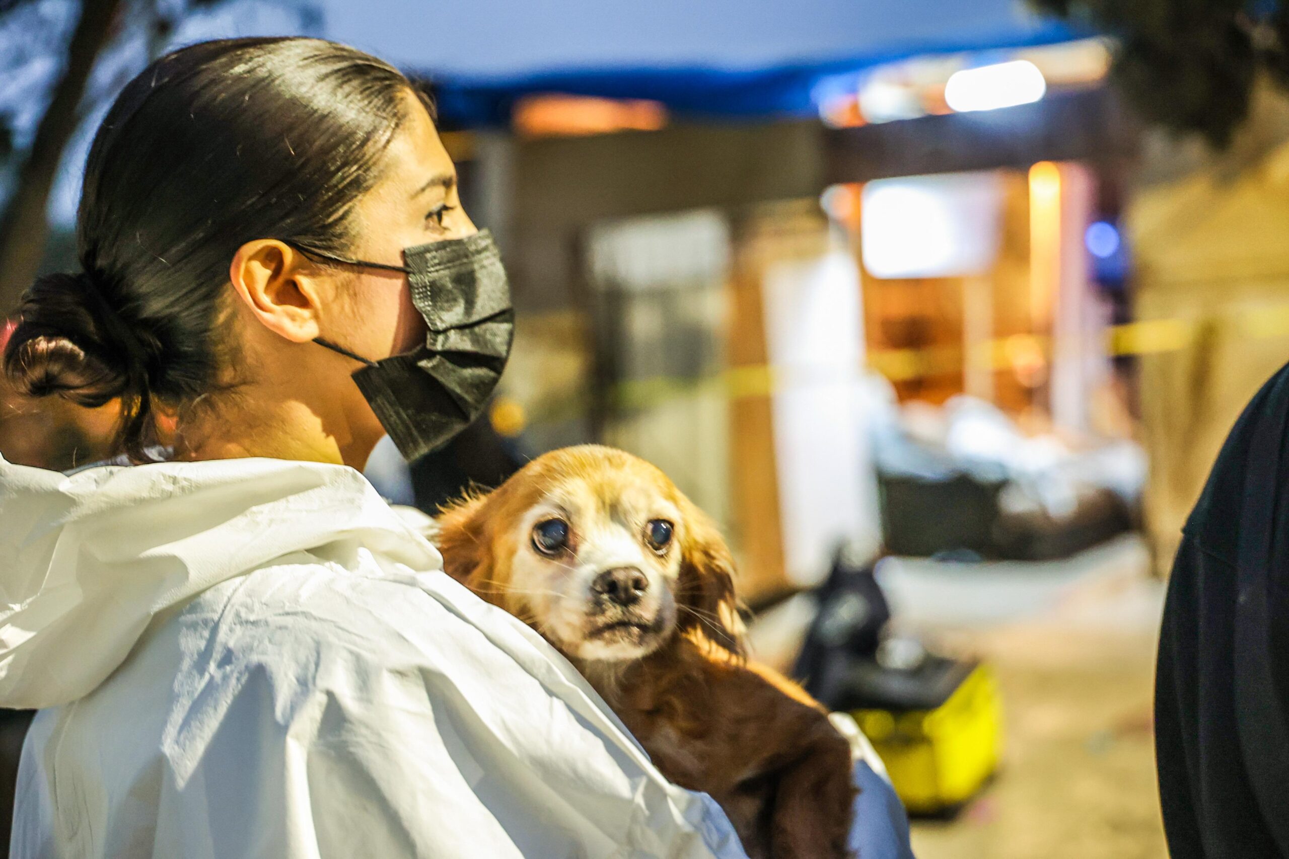 Fiscalía General del Estado de Baja California realiza cateo en albergue en Ensenada por presunto maltrato y abandono animal