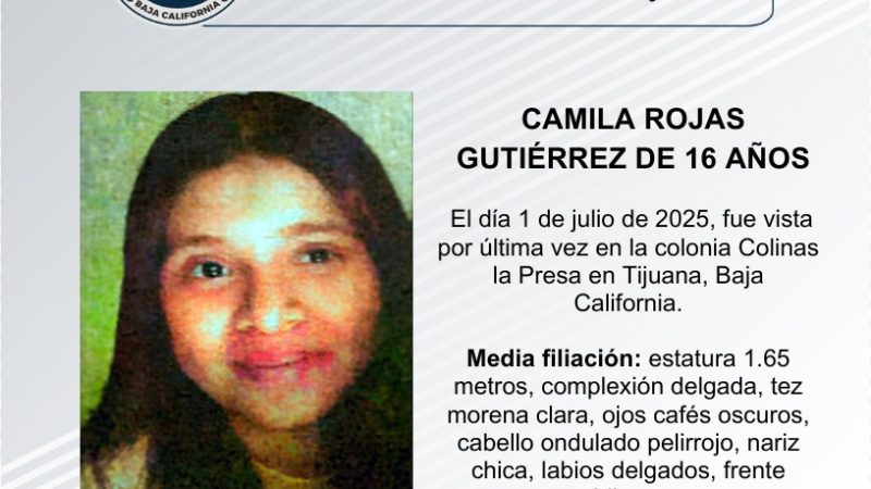 Pesquisa de Camila Rojas Gutiérrez de 16 años de edad