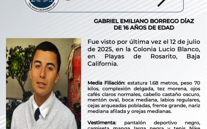 Pesquisa de Gabriel Emiliana Borrego Díaz de 16 años de edad