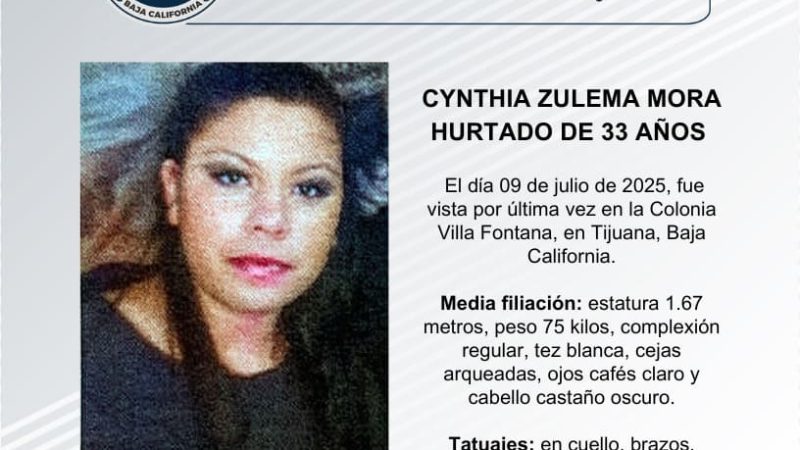 Pesquisa de Cynthia Zulema Mora Hurtado de 33 años de edad