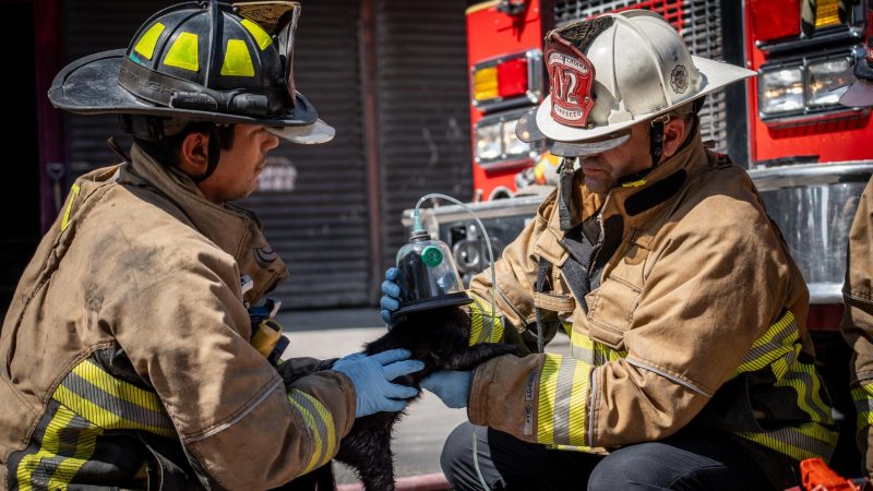 Conato de incendio en cuarteria de la Zona Norte