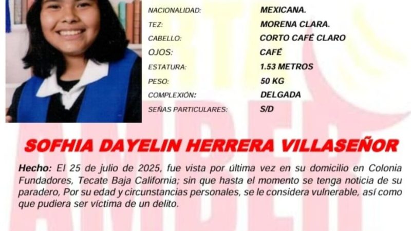 Alerta Amber Sofhia Dayelin Herrera Villaseñor de 12 años de edad