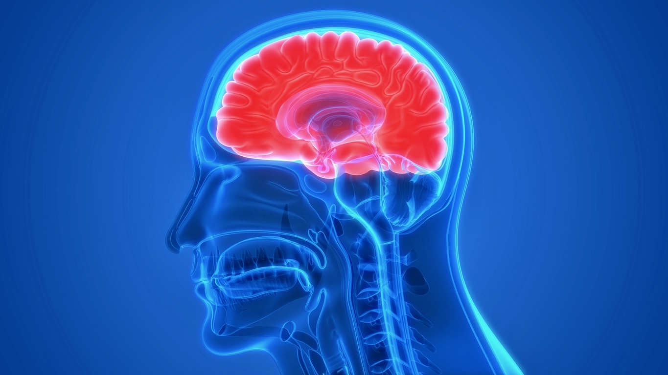 Aprende a cuidar tu cerebro con estos hábitos efectivos