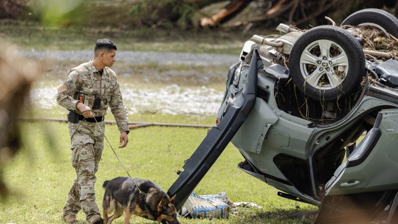 ¿Qué hizo que las lluvias extremas en Texas se volvieran mortales?