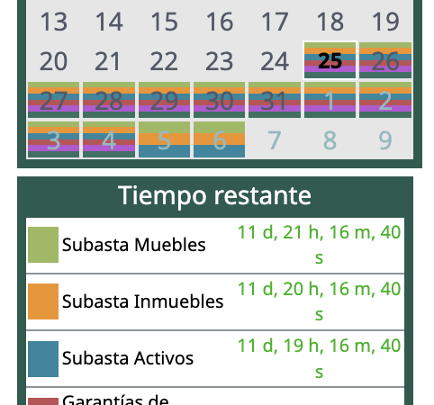 ¿Cuándo será la próxima subasta de bienes incautados por el gobierno?