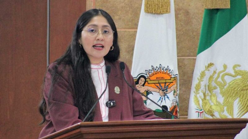 Propone Diputada Michel Sánchez establecer como requisito curso de manejar para obtener la licencia