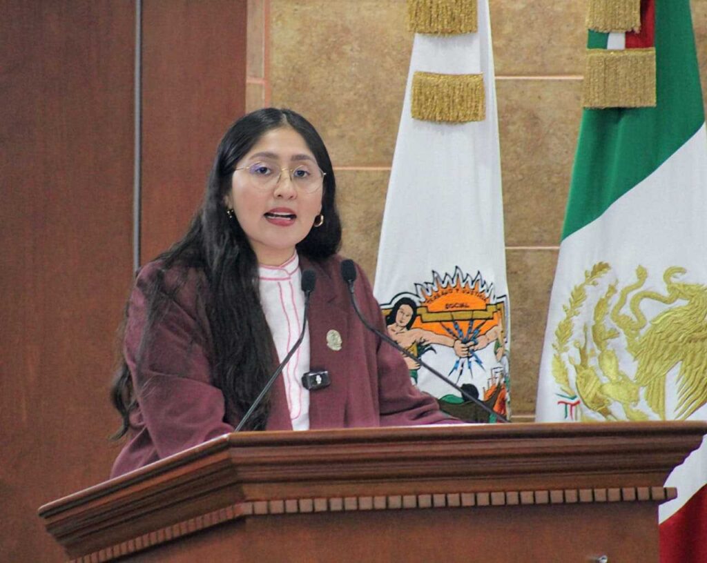 Propone Diputada Michel Sánchez establecer como requisito curso de manejar para obtener la licencia