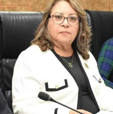Presupuesto destinado a la niñez, esencial para garantizar la protección de sus derechos