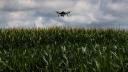Uso de drones en agricultura crece 35% anual en México