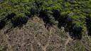Superficie devastada por incendios en Amazonía brasileña cae 65% en julio